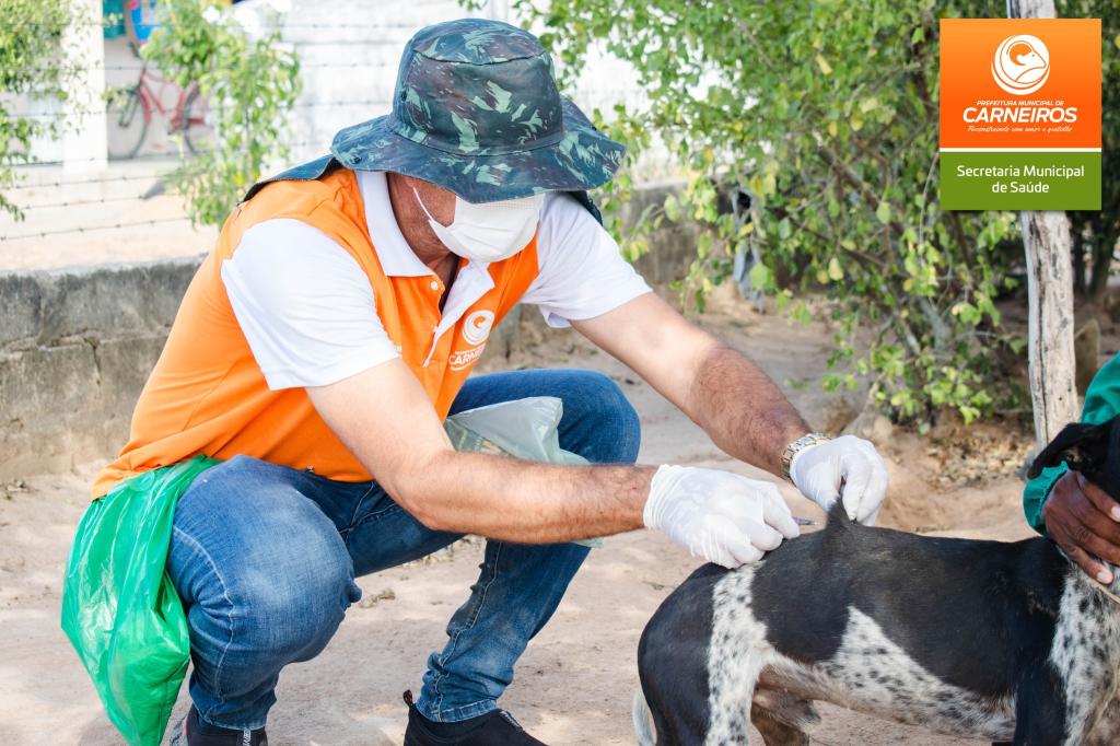 Agentes Comunit Rios De Endemias D O In Cio Vacina O Antirr Bica Na